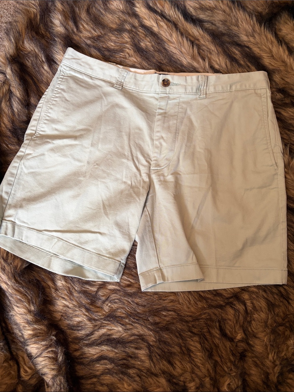 J. Crew 7” Inseam Men's Mint Green Flat Front Chino Shorts Size 33